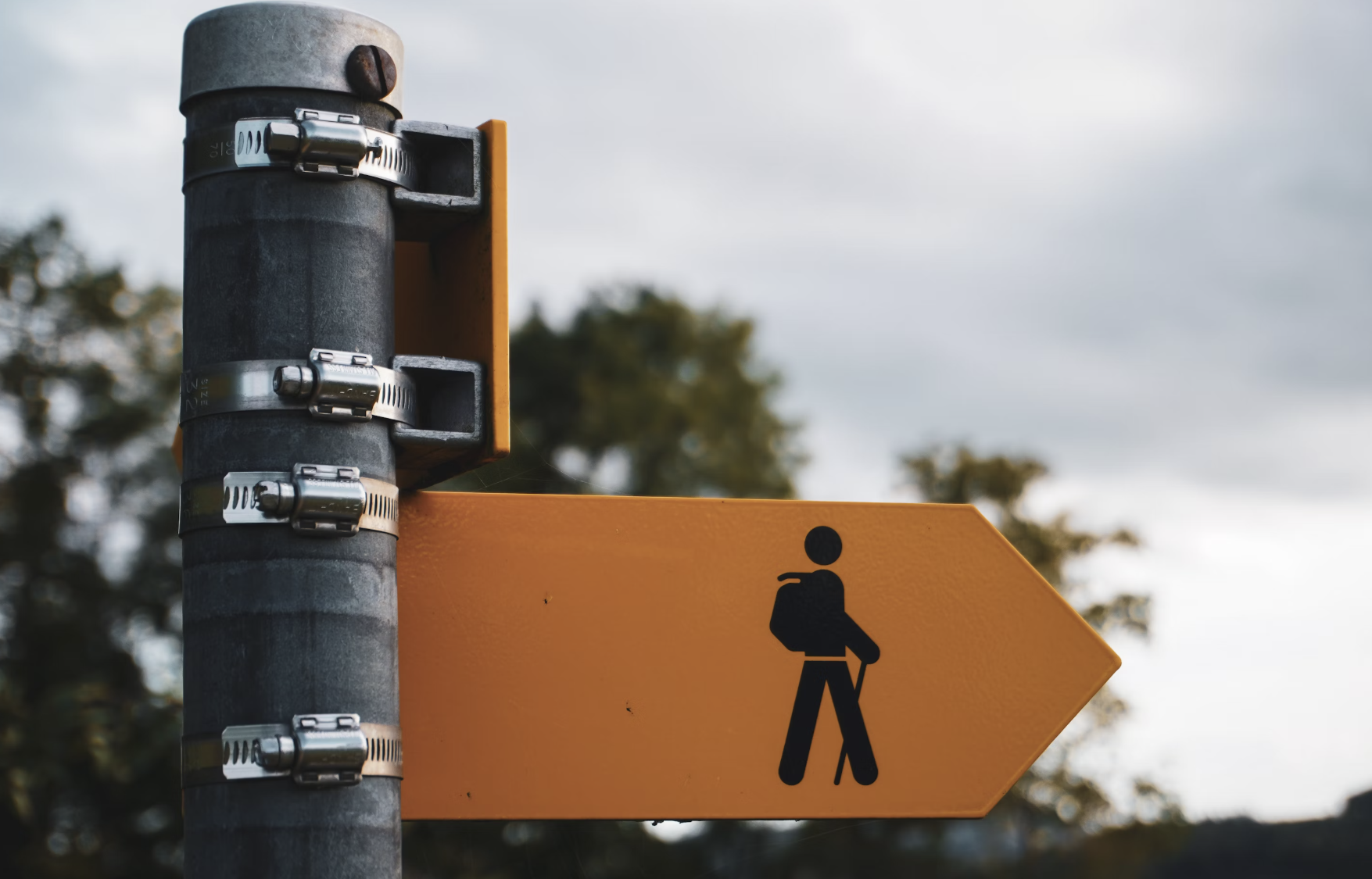 Revita Rahim ♥ Associate Writer